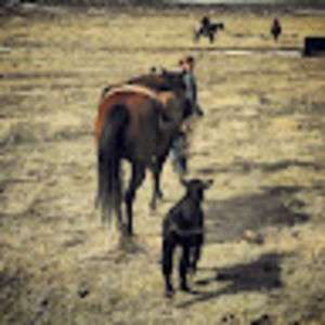 Meet your Posher, Chrissy